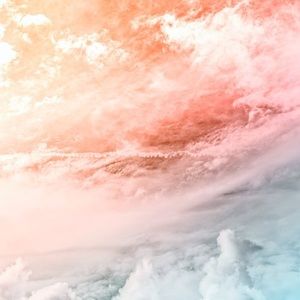 Meet your Posher, Ali